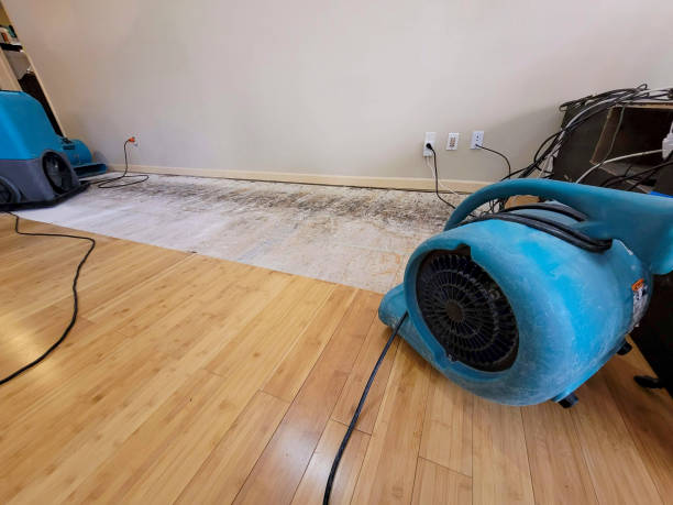 Professional Flood Damage Cleanup technician working in Medina, TN